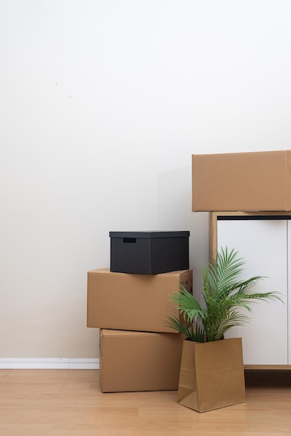 Des boîtes en carton avec des plantes près du mur blanc à l'intérieur symbolisant le jour de déménagement et le déménagement