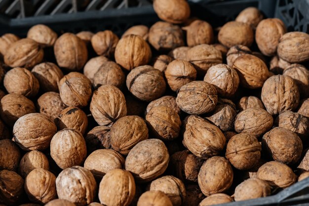 Photo boîtes de noix mûres récoltées sur les arbres noix de l'agriculture agriculture naturelle et respectueuse de l'environnement