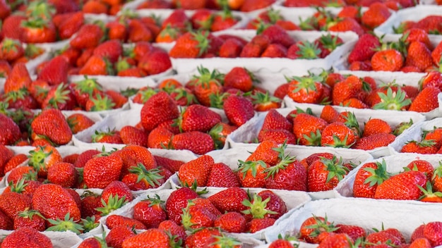 Boîtes de portions avec fraise fraîche