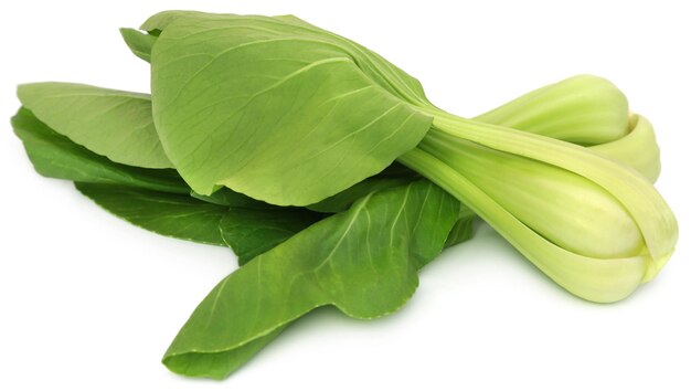 Bok Choy bio sur fond blanc