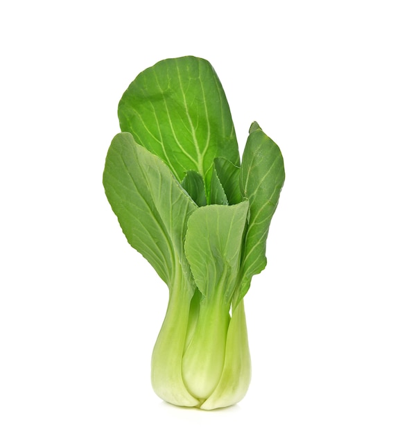 Bok choy sur blanc