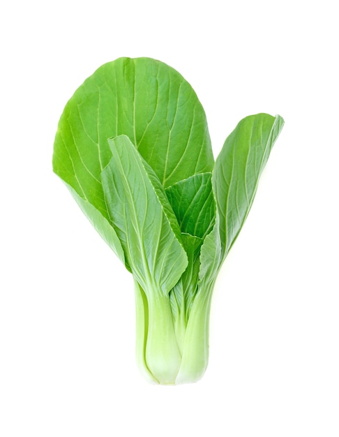 Bok choy (chou chinois) isolé sur blanc