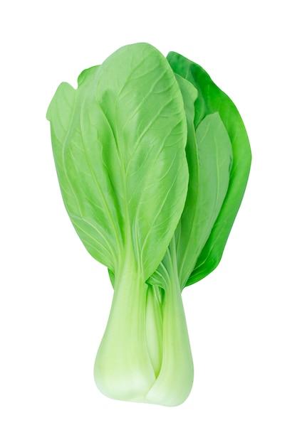 Bok choy (chou chinois) isolé sur blanc