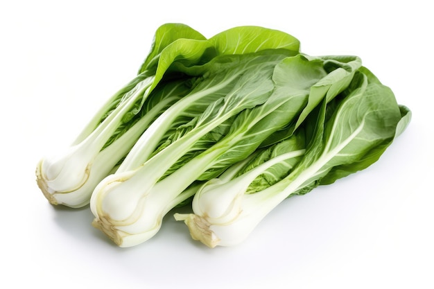 Bok Choy sur fond blanc IA générative