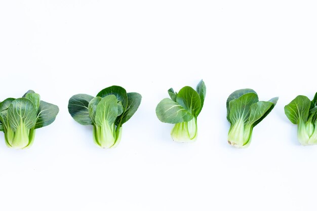 Bok choy sur fond blanc