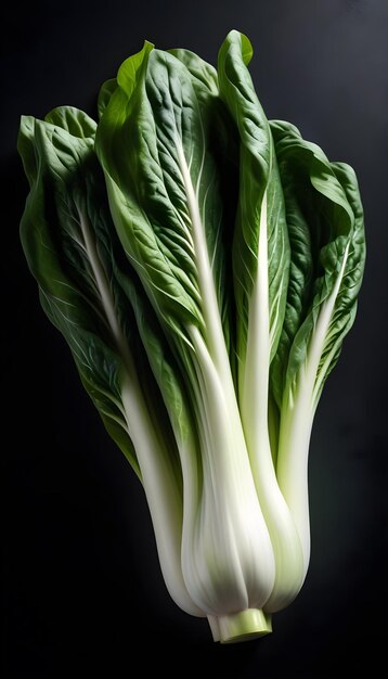 Bok choy sur un fond noir isolé