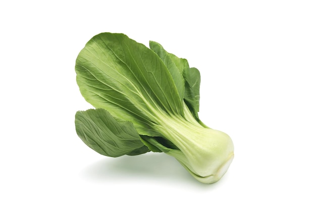 Bok choy frais ou chou chinois sur blancxA