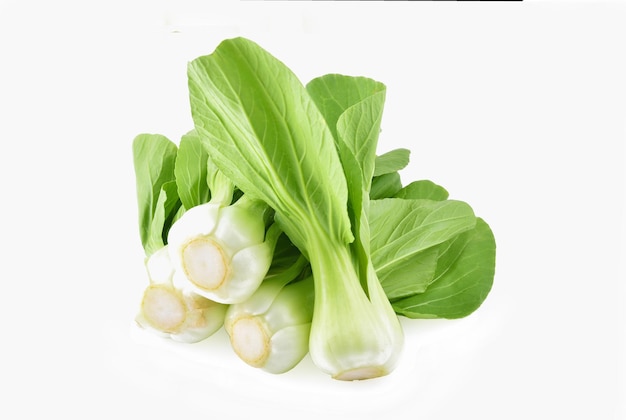 Bok choy légume sur fond blanc