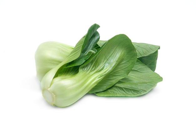 Bok choy légume isolé sur fond blanc gros plan