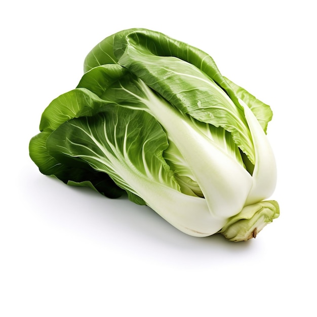 Bok choy ou Pak choy chou chinois isolé sur fond blanc