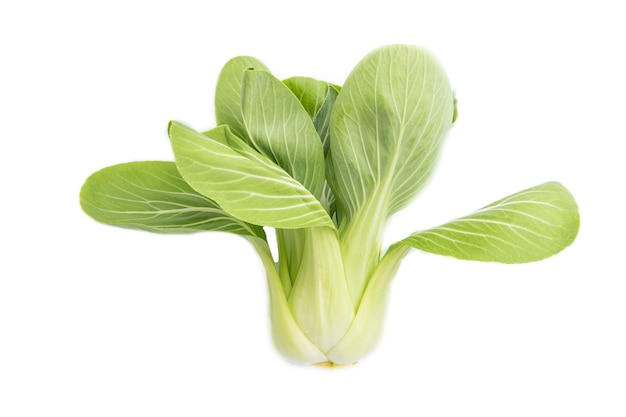 Bok choy vert frais ou chou chinois pac choi surface blanche isolée