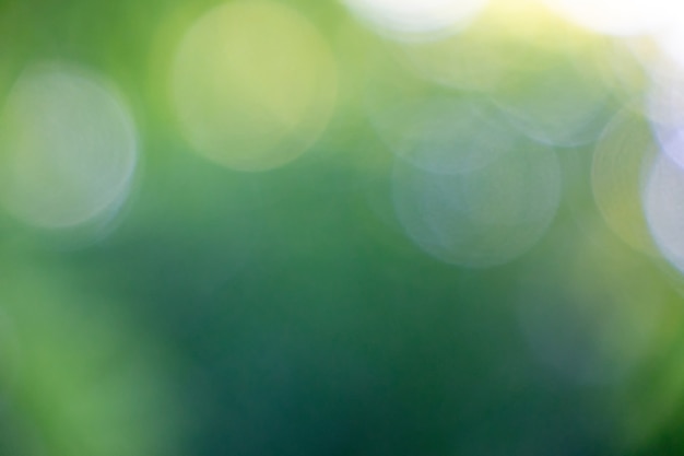 Bokeh de cercles sur un fond vert flou. Résumé belle mise en page pour vos idées