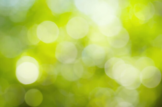 Bokeh extérieur naturel dans les tons verts et jaunes