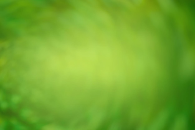 Bokeh flou vert arrière-plan flou abstrait vert image de fond floue