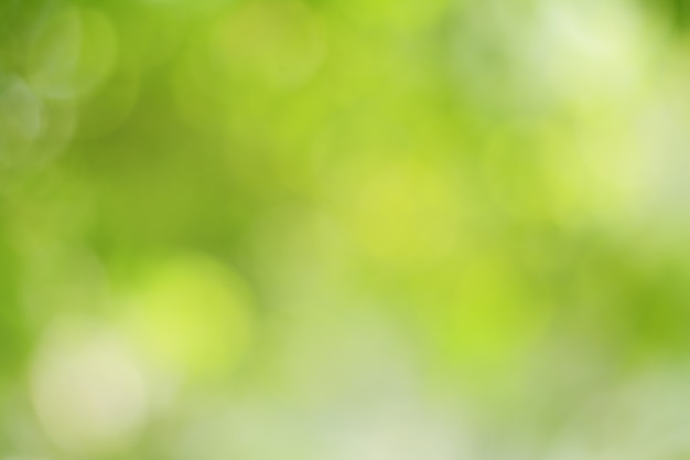 Bokeh vert sur la nature fond flou abstrait bokeh vert de l'arbre