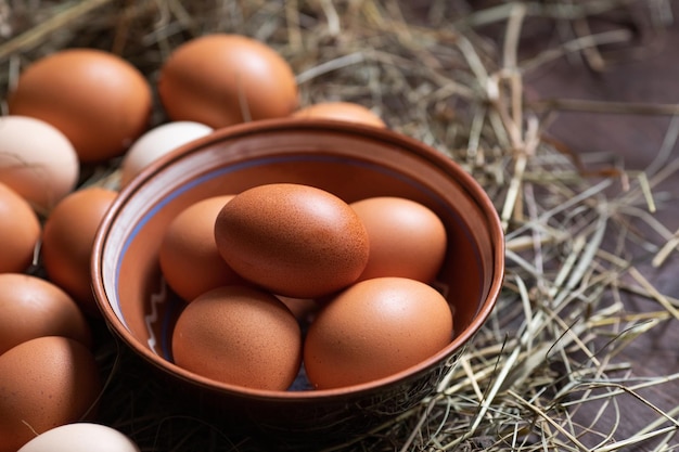 Bol d'aliments biologiques avec des œufs de poule sur le foin