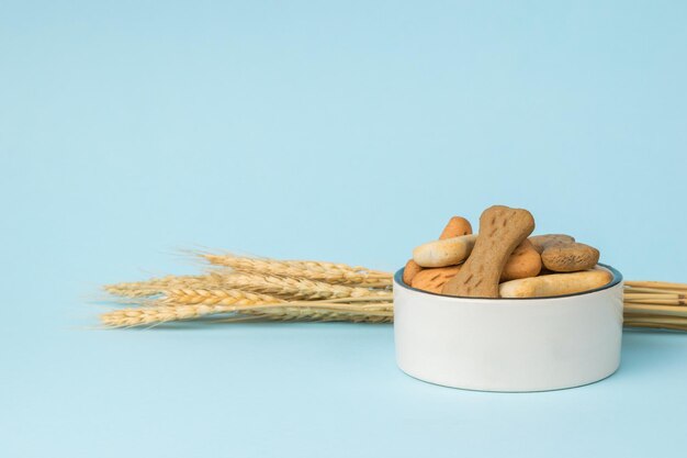 Un bol de biscuits pour chiens et des épis de maïs mûrs sur fond bleu Une délicieuse friandise pour chiens avec des céréales