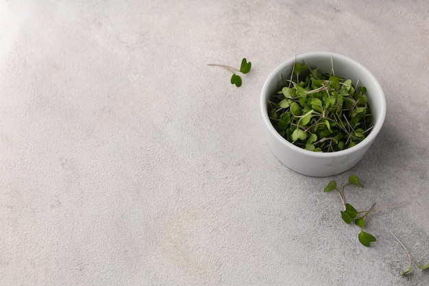 Bol blanc avec microgreens frais sur fond gris clair