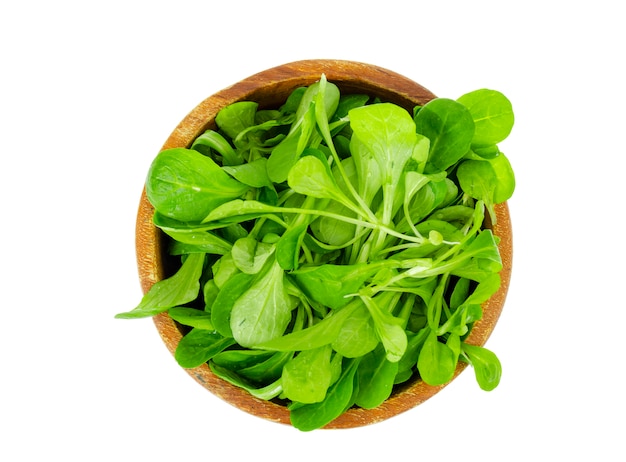 Bol en bois avec des feuilles vertes fraîches de cornsalad