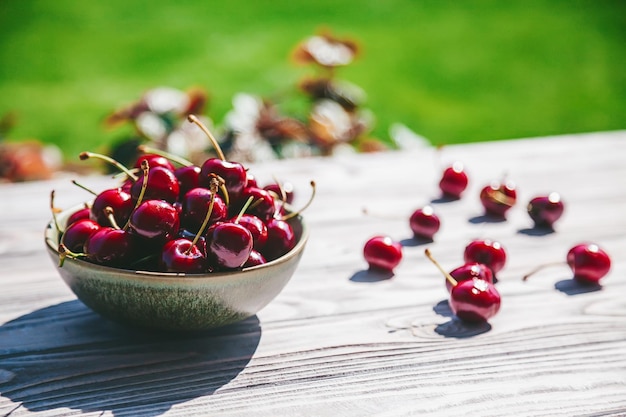 Un bol avec des cerises fraîches mûres et savoureuses sur une table debout à l'extérieur