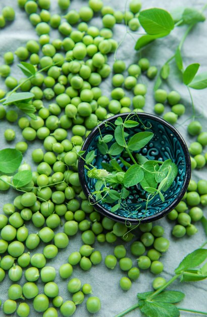 Bol avec cosses de pois de senteur