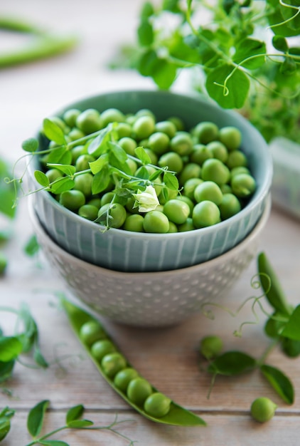 Bol avec cosses de pois de senteur