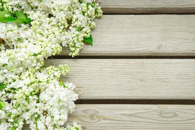 Bol lilas blanc sur fond de bois