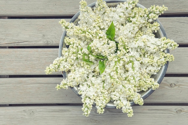 Bol lilas blanc sur fond de bois