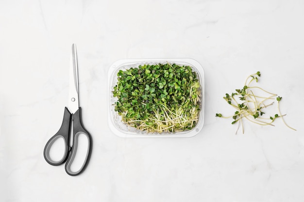 Bol de microgreens sur mur de marbre blanc. concept de superaliments.