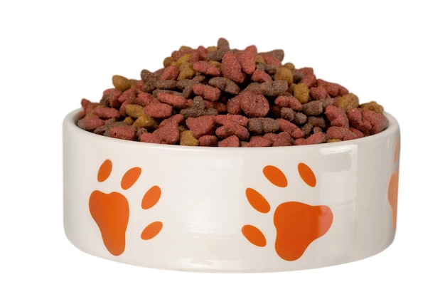 Photo bol pour chien avec de la nourriture sèche isolée