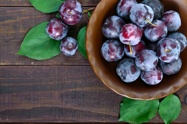 Bol de prunes bleues mûres sur table en bois foncé