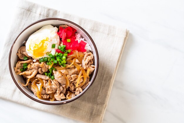 bol de riz au porc avec oeuf (Donburi) - cuisine japonaise