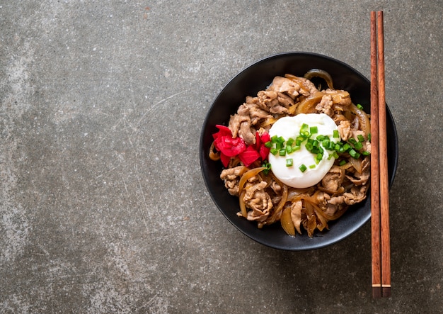 bol de riz au porc avec oeuf (Donburi) - cuisine japonaise