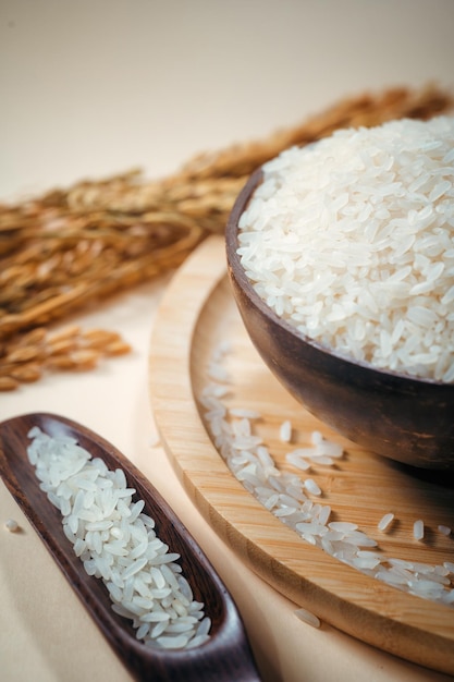 Un bol de riz avec une cuillère à côté