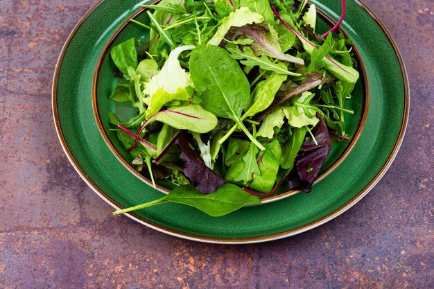 Un bol de salade verte avec une salade de feuilles vertes sur une table.