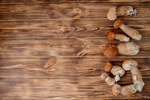 Bolet de champignons sur bois