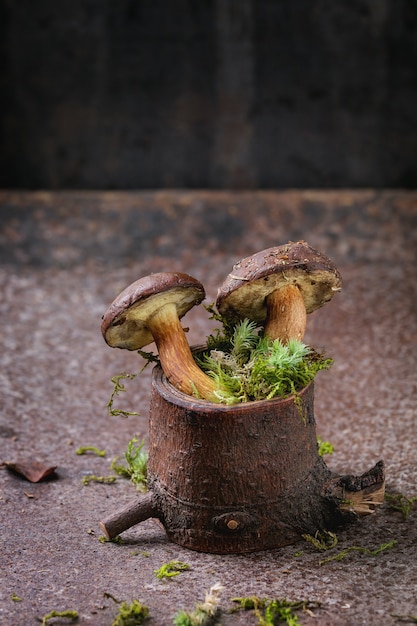 Bolets aux champignons polonais