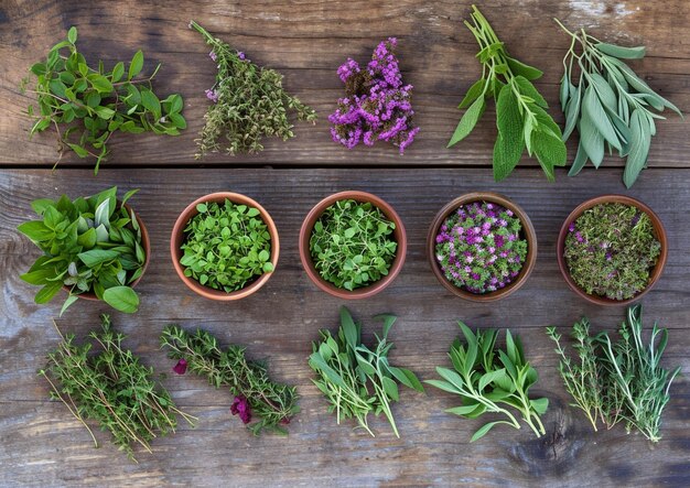 Photo bols à herbes sur fond de bois