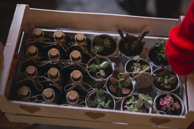 Des bonbonnières de mariage en forme de bouteilles et de fleurs en pot sont disposées dans une boîte en bois