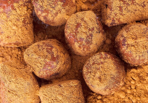 bonbons au chocolat aux truffes d'énergie fraîche