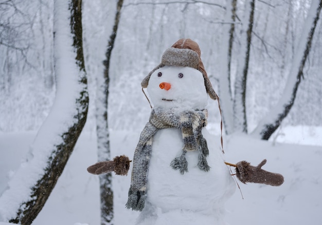 Bonhomme de neige drôle en chapeau, gants et une carotte dans une forêt enneigée