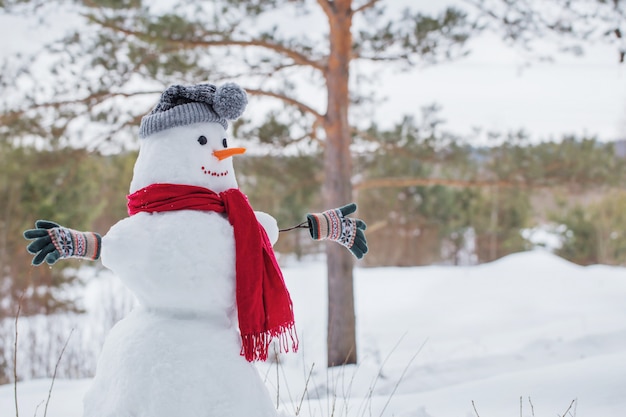 Bonhomme de neige en écharpe rouge en forêt