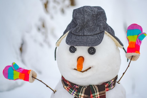 Le bonhomme de neige porte un chapeau de fourrure et une écharpe bonhomme de neige drôle dans un chapeau et une écharpe élégants sur un champ de neige mer ...