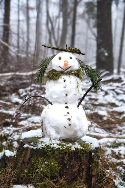 Un bonhomme de neige sur une souche d'arbre avec des boutons de carottes, des branches, des aiguilles de pin comme des cheveux.