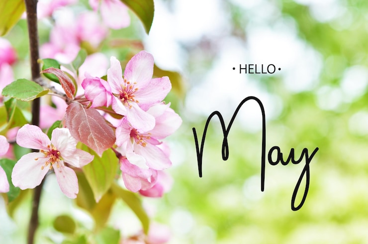 Photo bonjour mai floral fond naturel printemps saison