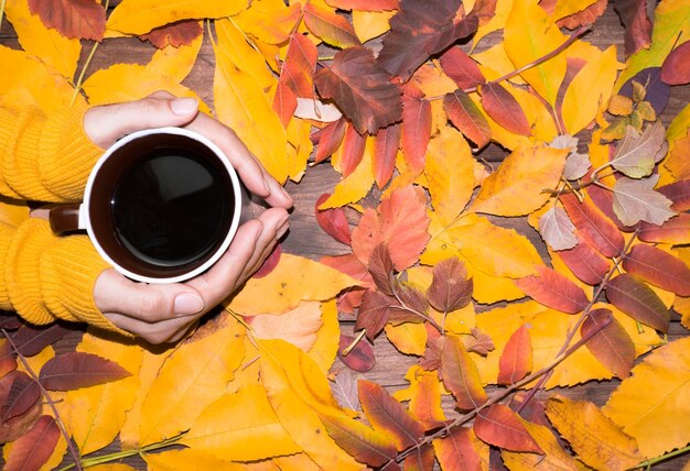 Bonjour octobre Composition d'automne vue de dessus des feuilles colorées lumineuses d'automne avec une feuille de papier