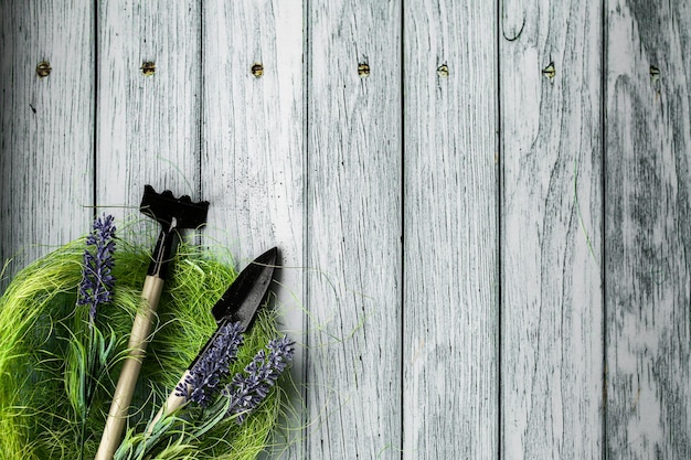 Bonjour Printemps. Fond De Composition De Printemps, Papier Peint. Matériel De Plantation, Préparation. Outils Et Fleurs. Photo De Haute Qualité