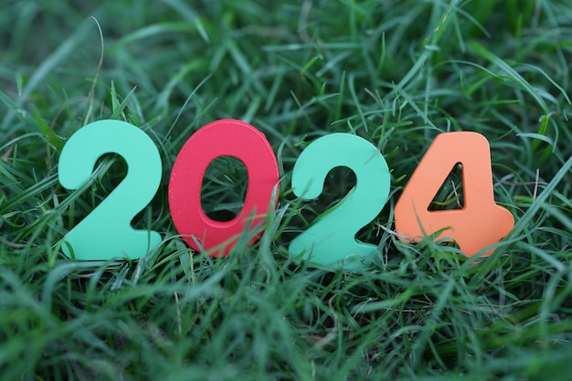 Photo bonne année 2024 concept 2024 numéros sur l'herbe