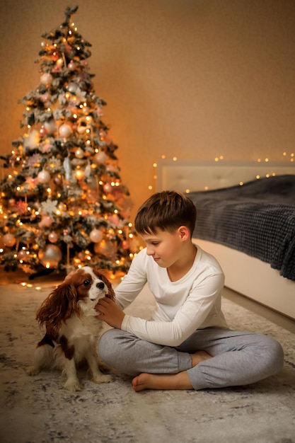 Bonne année un garçon en pyjama léger fait maison étreint son animal de compagnie cavalier roi charles spaniel à la maison dans la chambre près de l'arbre de Noël