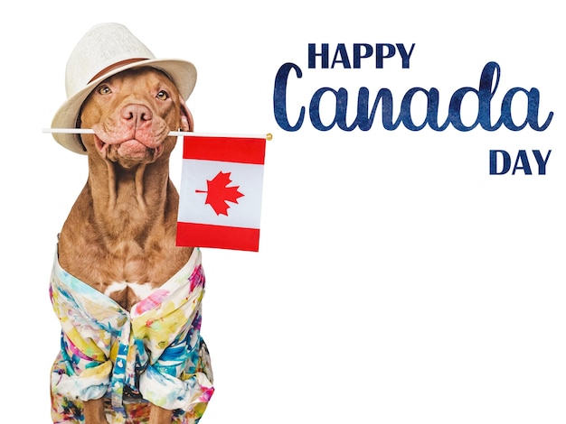 Bonne fête du Canada Chiot mignon et drapeau canadien